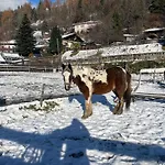 Farm stay Bio-bauernhof Auernig *