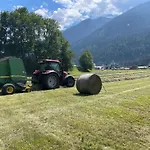 Bio-bauernhof Auernig * Obervellach