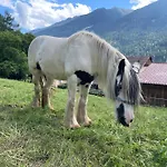 Farm stay Bio-bauernhof Auernig *