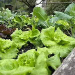 Bio-bauernhof Auernig Farm stay
