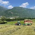 Bauernhof Bio-bauernhof Auernig Obervellach