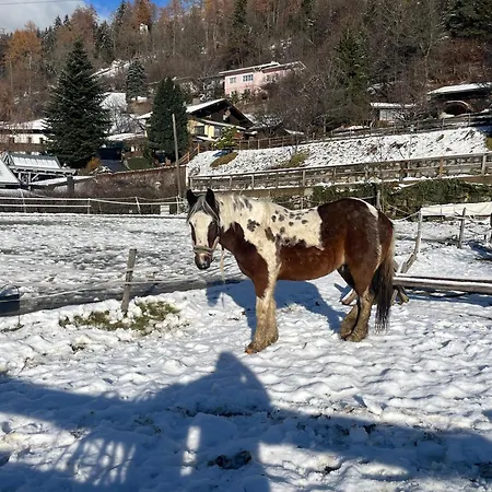Κατάλυμα σε φάρμα Bio-bauernhof Auernig *