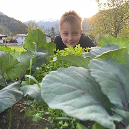 Bio-bauernhof Auernig *