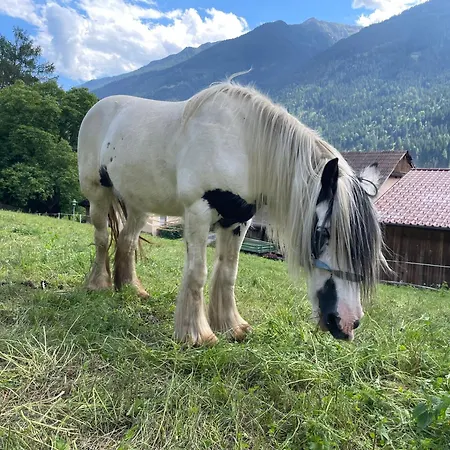Séjour à la ferme Bio-bauernhof Auernig *