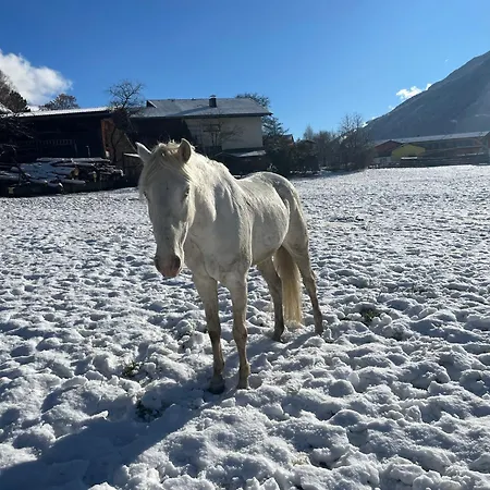 Bio-bauernhof Auernig 上韦拉赫