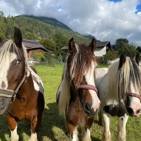 Bio-bauernhof Auernig *