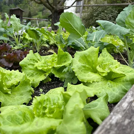 Bio-bauernhof Auernig Séjour à la ferme