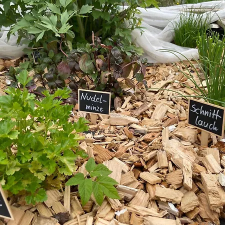 Bio-bauernhof Auernig