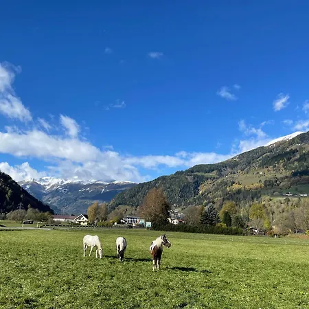 Bio-bauernhof Auernig *