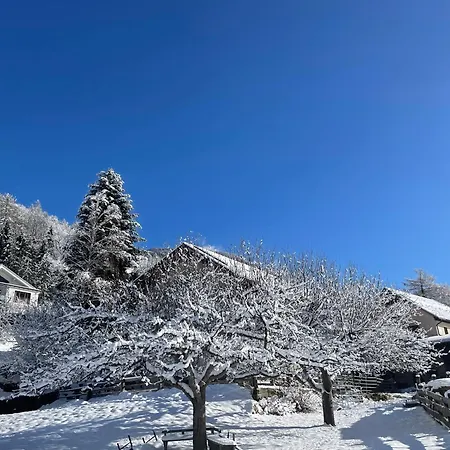 Bio-bauernhof Auernig Obervellach