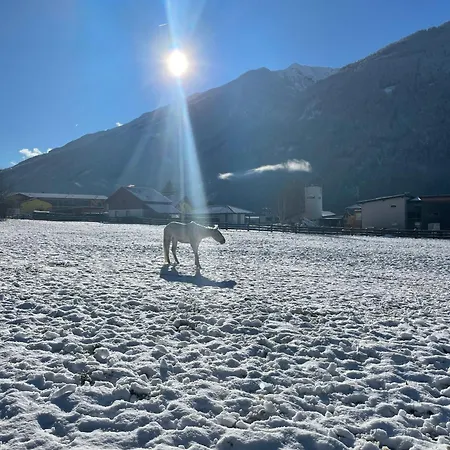 Séjour à la ferme Bio-bauernhof Auernig