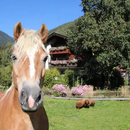 Vakantieboerderij Bio-bauernhof Auernig *
