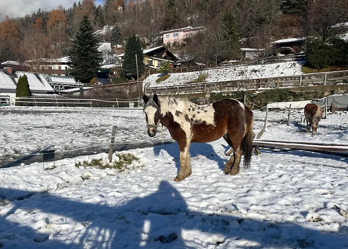 Farmház Bio-bauernhof Auernig *