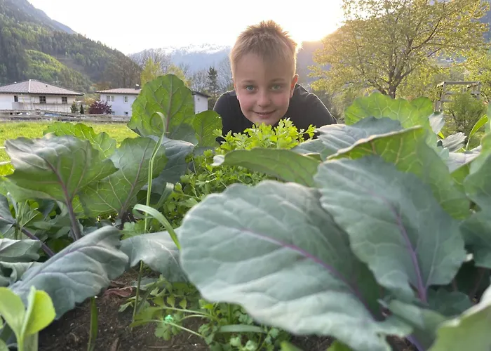 Bio-bauernhof Auernig *