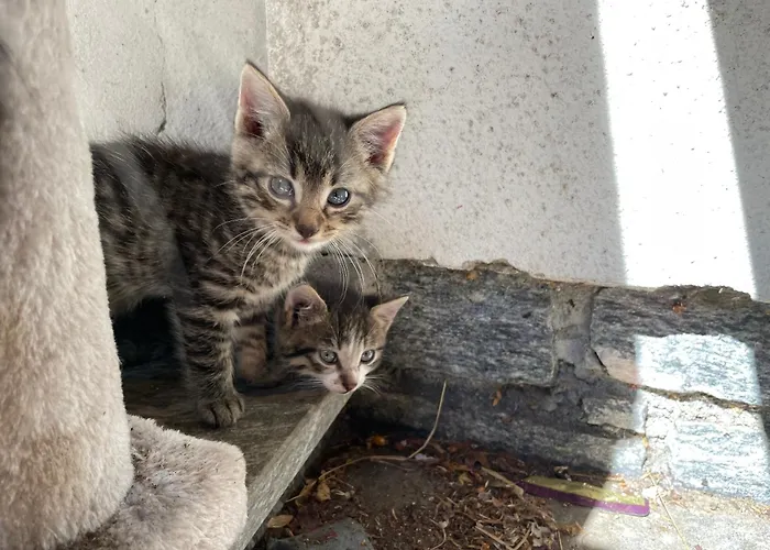 Farmház Bio-bauernhof Auernig Obervellach