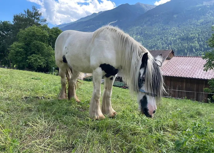 Farmház Bio-bauernhof Auernig *