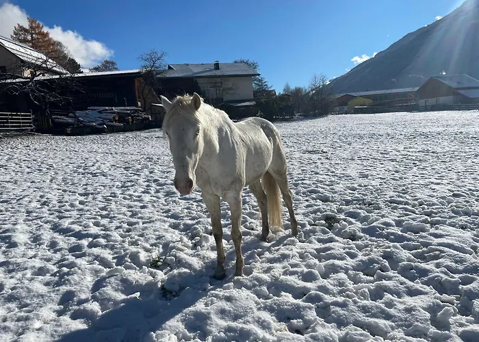 Bio-bauernhof Auernig Obervellach