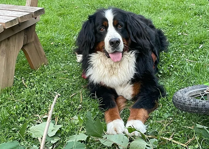 Farmház Bio-bauernhof Auernig *