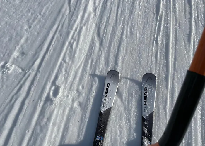 Bio-bauernhof Auernig *