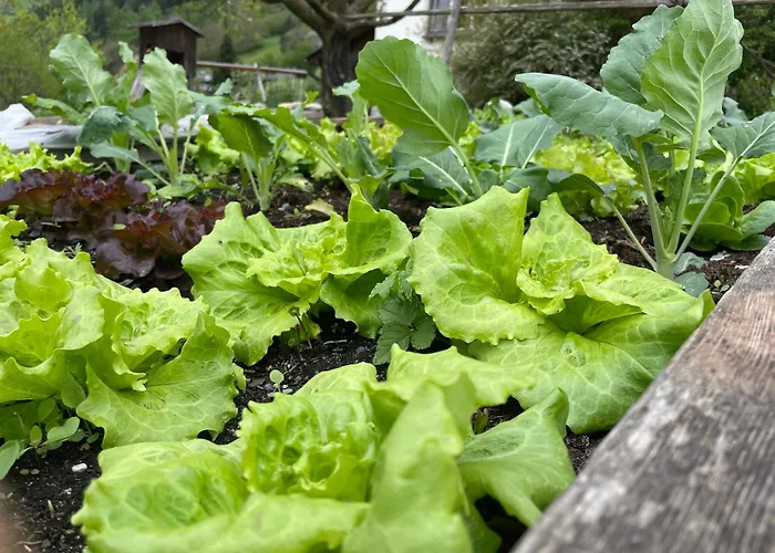 Bio-bauernhof Auernig Séjour à la ferme