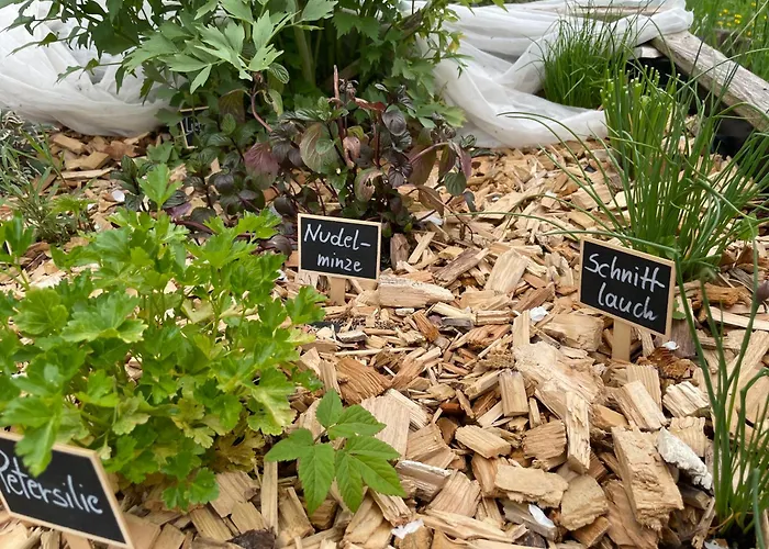 Bio-bauernhof Auernig