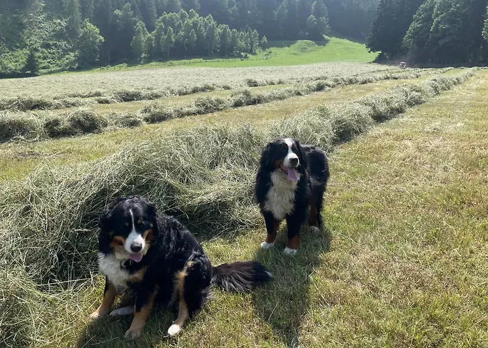 Bio-bauernhof Auernig Farmház