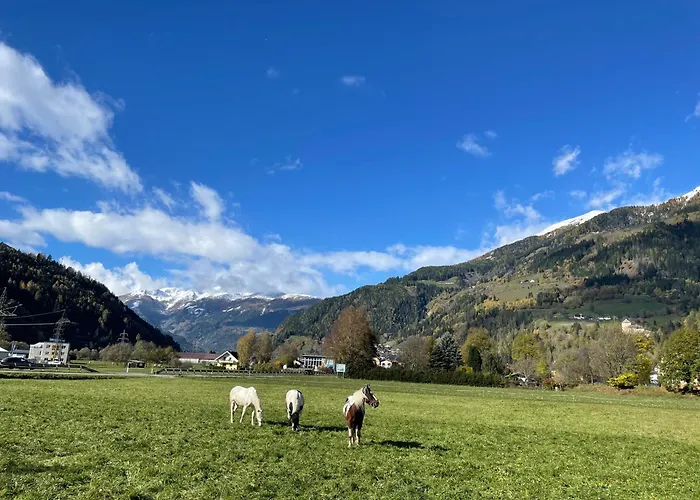Bio-bauernhof Auernig *