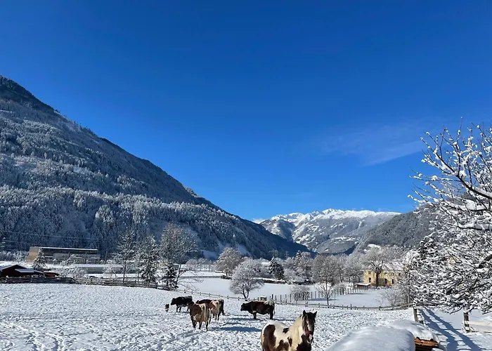 Bio-bauernhof Auernig Séjour à la ferme Obervellach