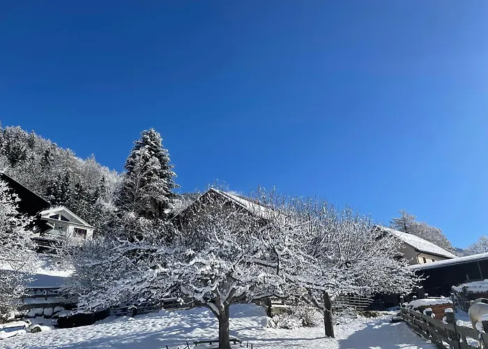 Bio-bauernhof Auernig Obervellach