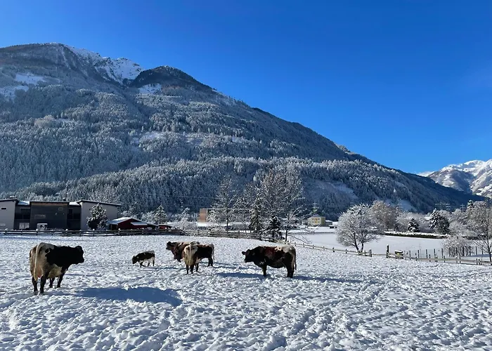 Bio-bauernhof Auernig Séjour à la ferme