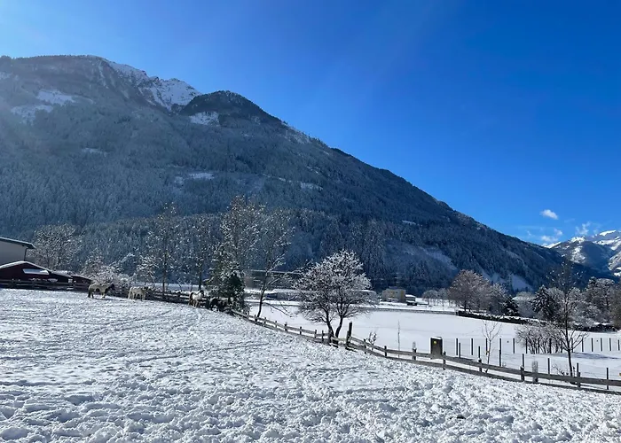 Bio-bauernhof Auernig Séjour à la ferme *