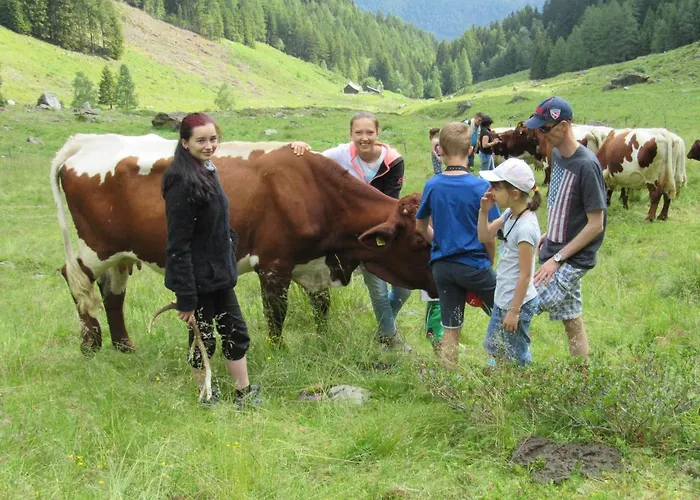 Bio-bauernhof Auernig *