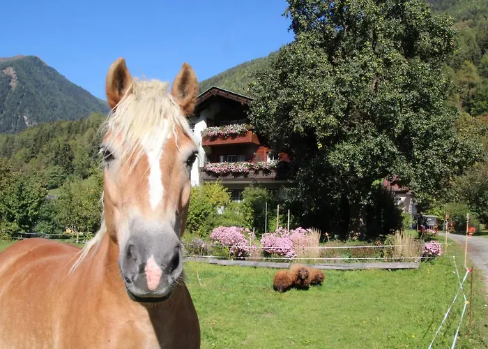 Séjour à la ferme Bio-bauernhof Auernig *